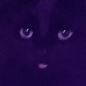 Meet your Posher, Lacey